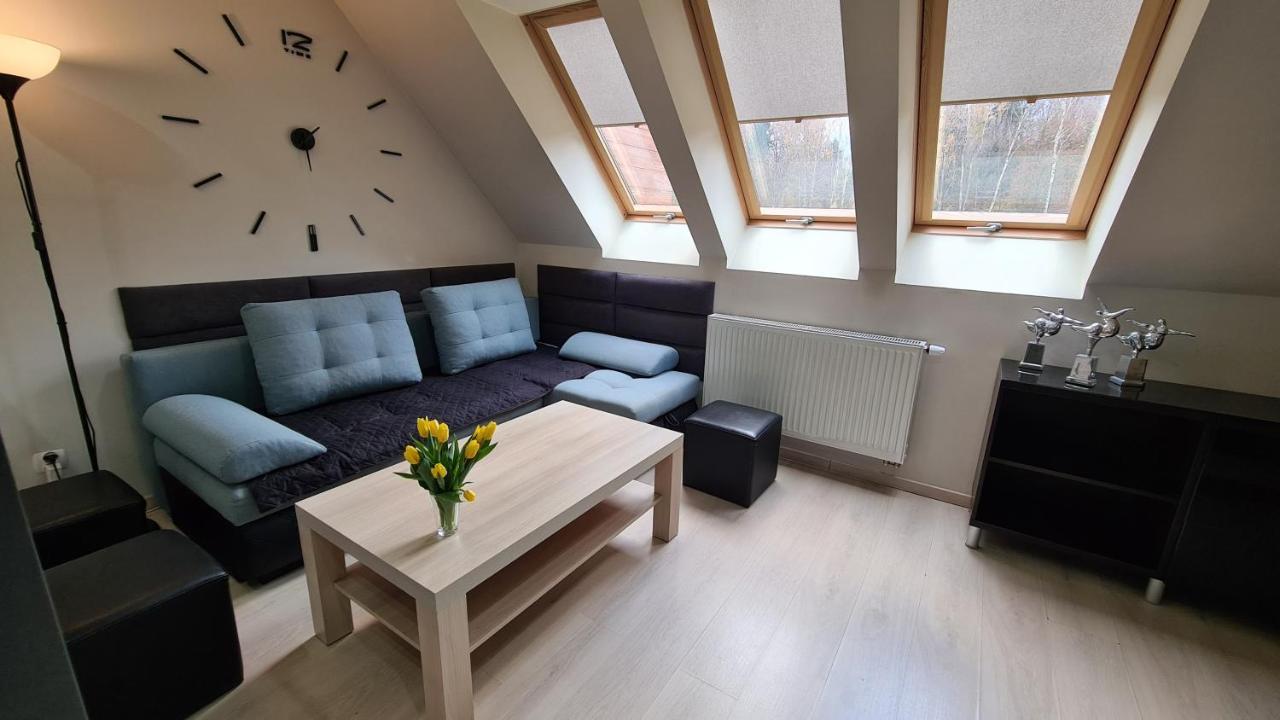 Apartment Lux Duplex Polanica-Zdroj